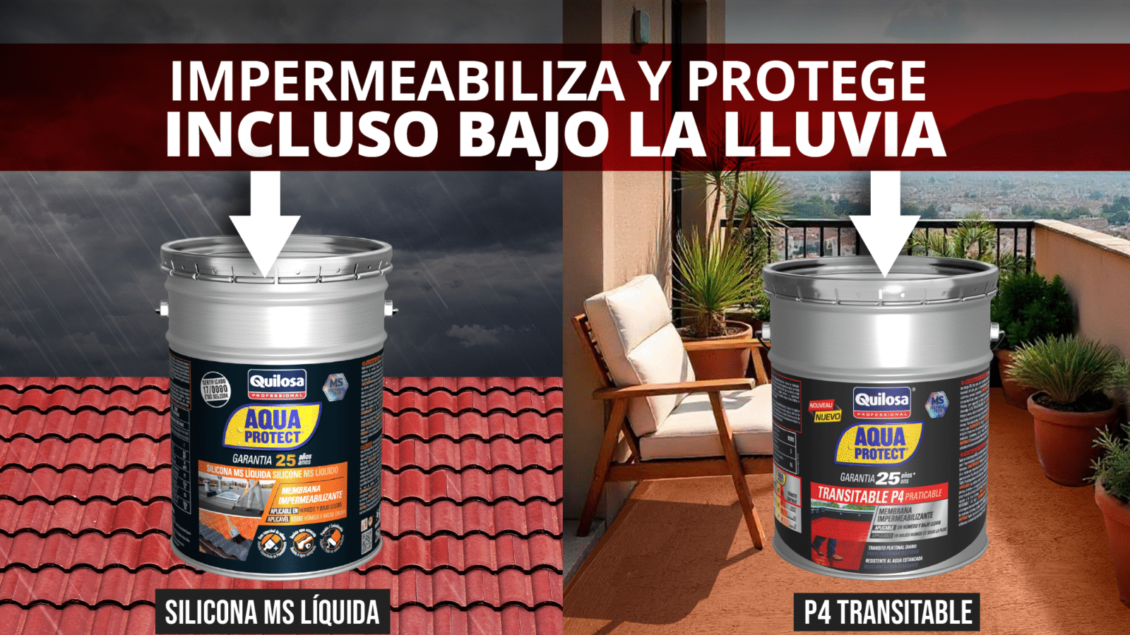 IMAGEN #1