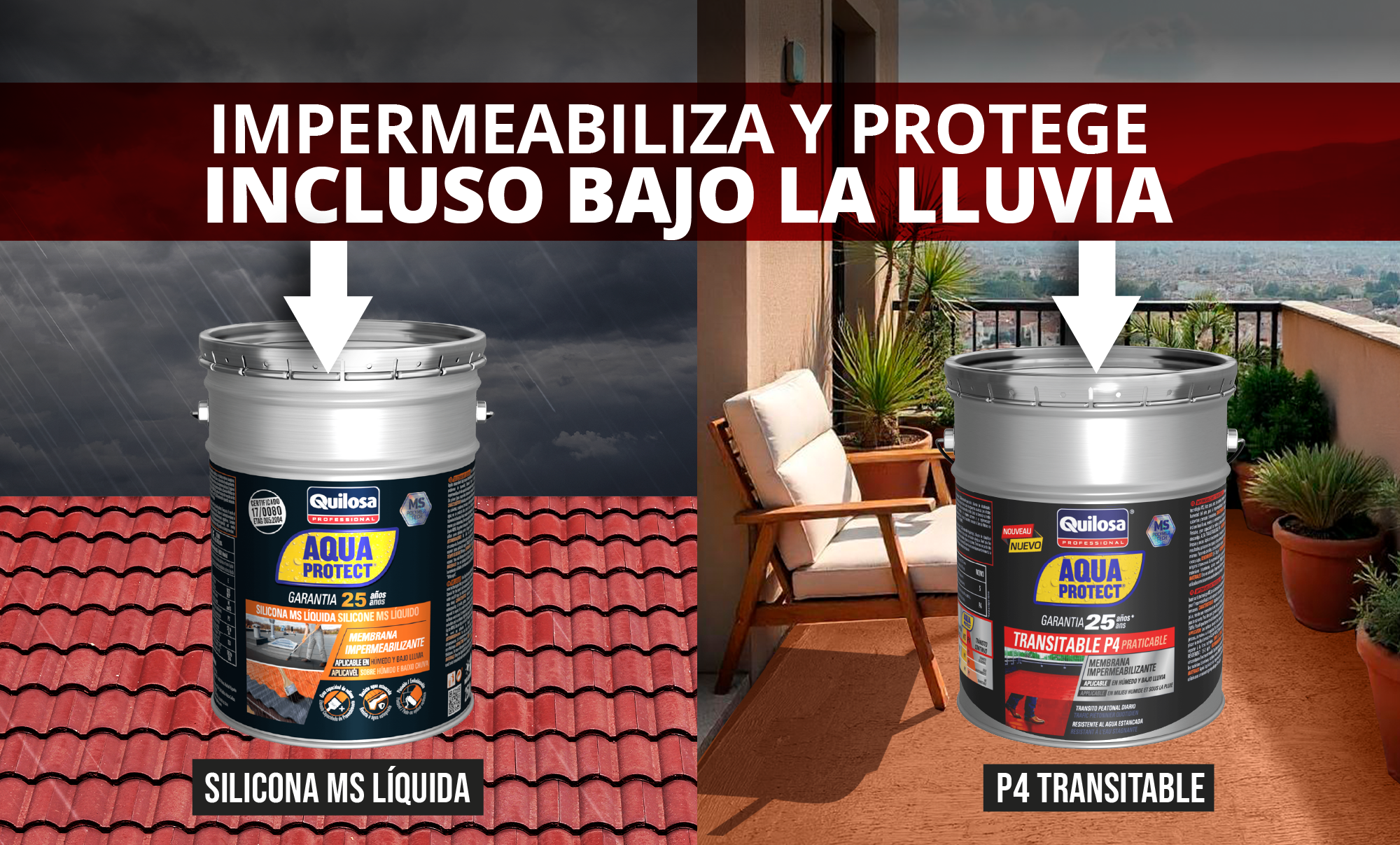 IMAGEN #1