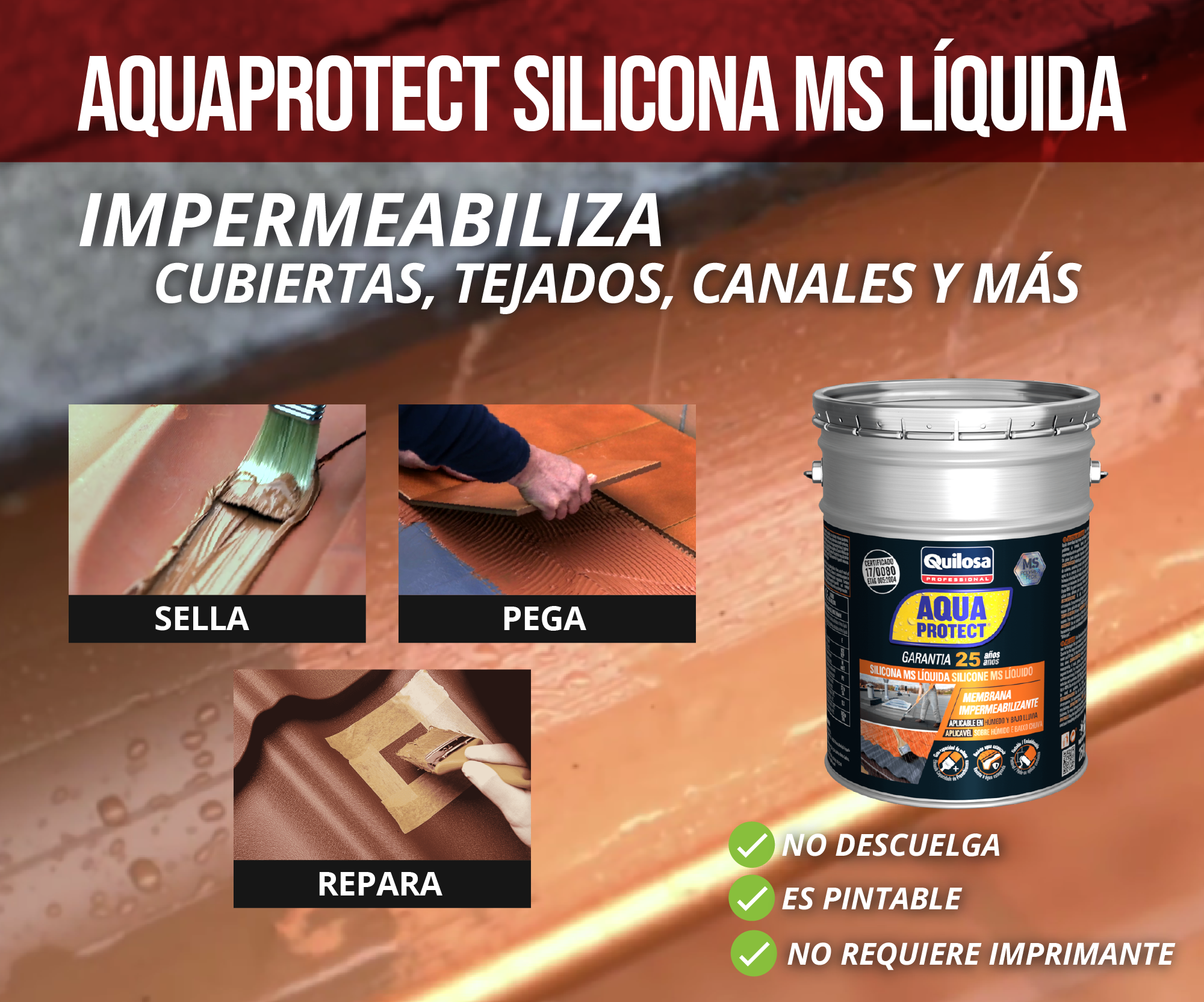 IMAGEN #2